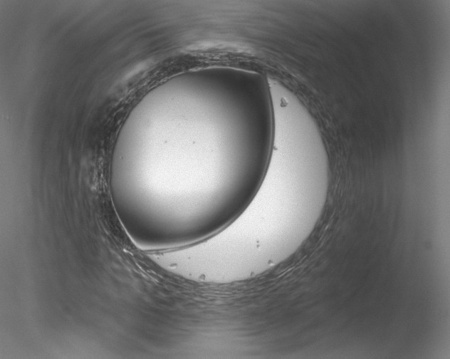 X0000078230965200611030849