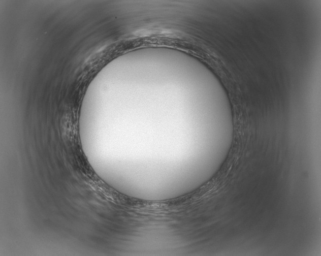 X0000078230966200611030849