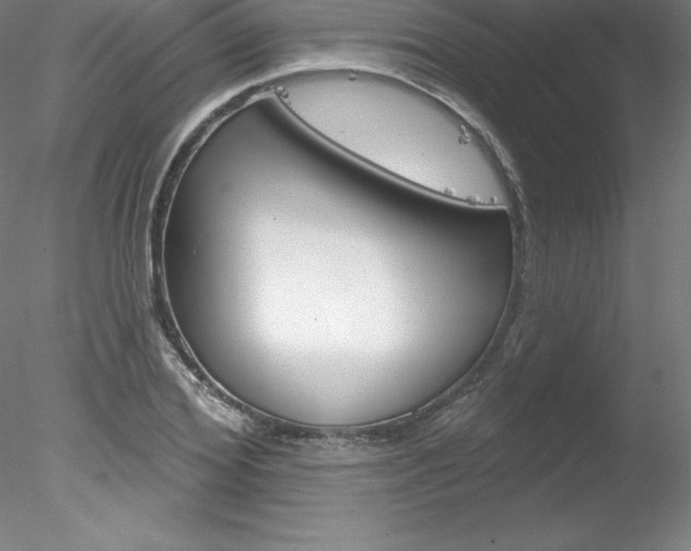 X0000078230980200611030849