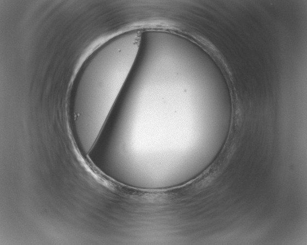 X0000078230989200611030849