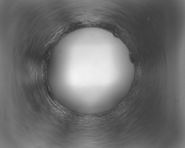 X0000078231012200611030848