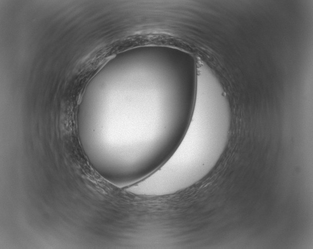 X0000078231014200611030848