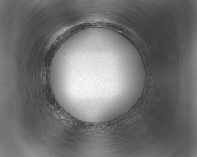 X0000078231016200611030848