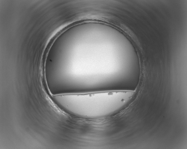 X0000078231028200611030848