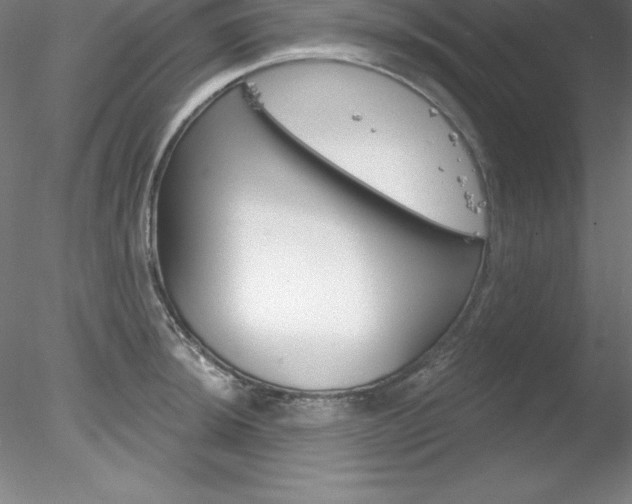 X0000078231044200611030848