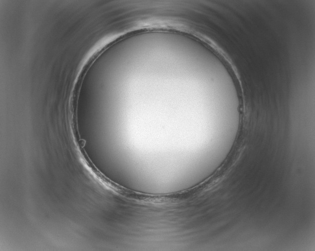 X0000078231045200611030848