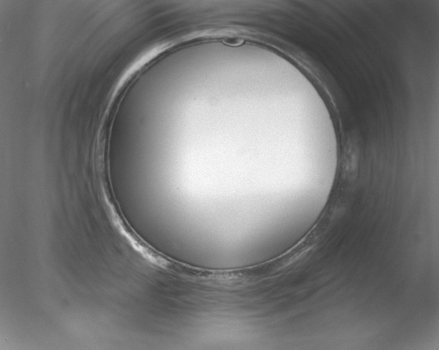 X0000078231053200611030848