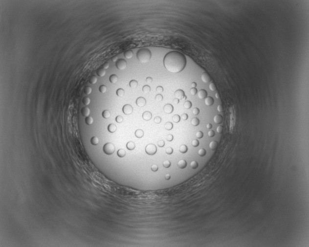X0000078231059200611030847