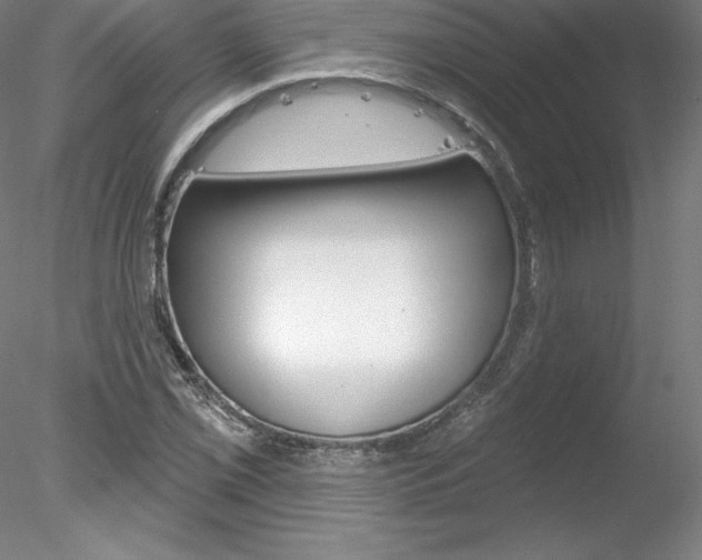 X0000078231069200611030847