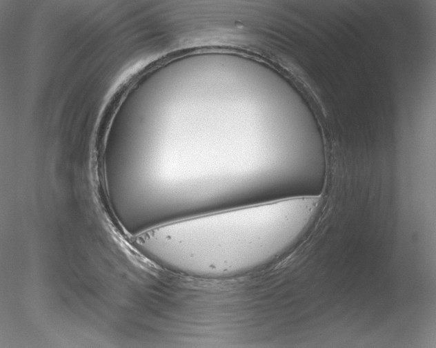 X0000078231072200611030847