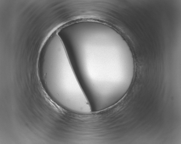 X0000078231076200611030847