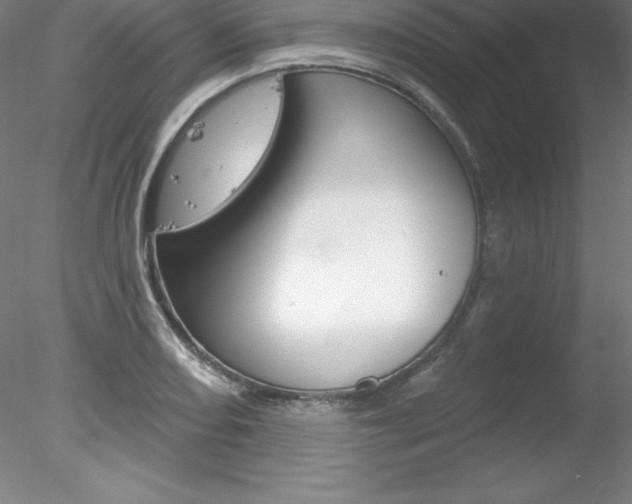 X0000078231082200611030847