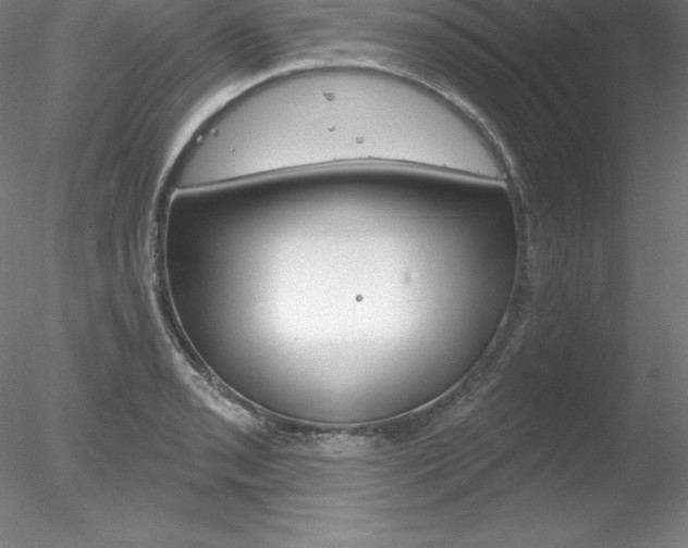 X0000078231085200611030847