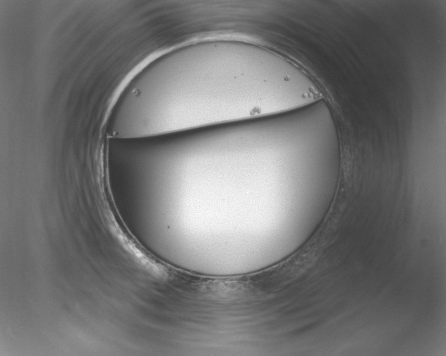 X0000078231092200611030847
