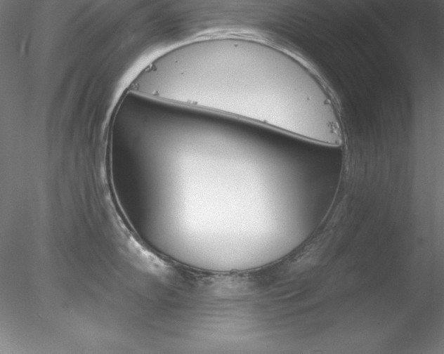 X0000078231102200611030847