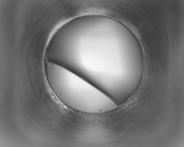 X0000078231104200611030847