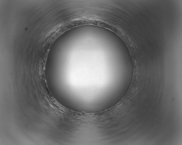 X0000078231110200611030846