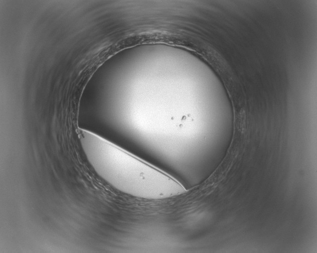 X0000078231111200611030846