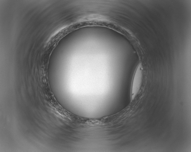 X0000078231112200611030846
