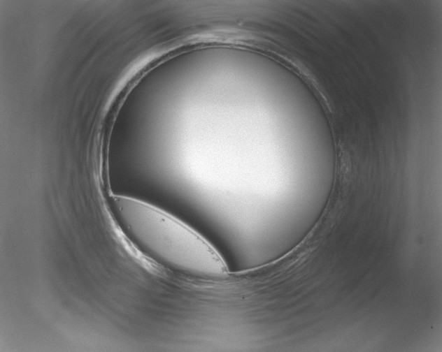 X0000078231131200611030846