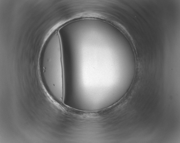 X0000078231133200611030846