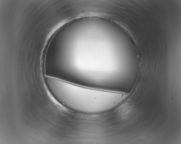 X0000078231135200611030846