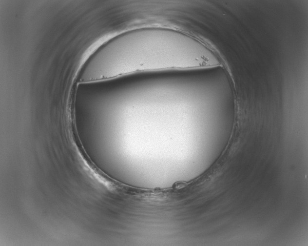 X0000078231141200611030847