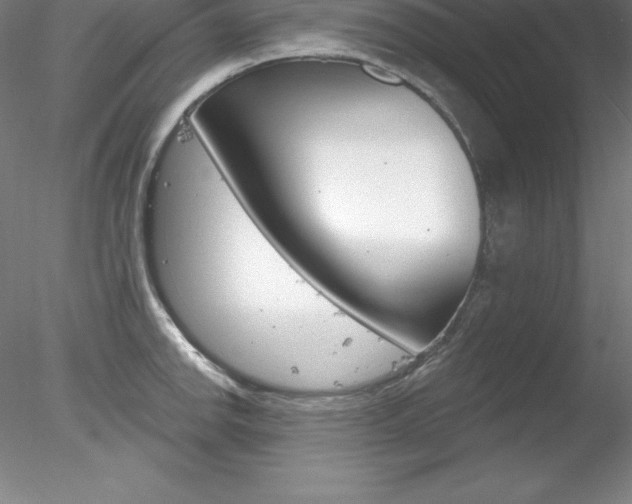 X0000078231142200611030847
