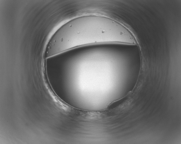 X0000078231144200611030847