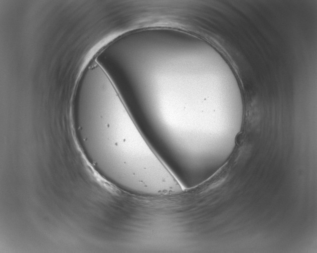 X0000078231149200611030847