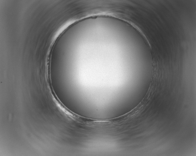X0000078231151200611030847