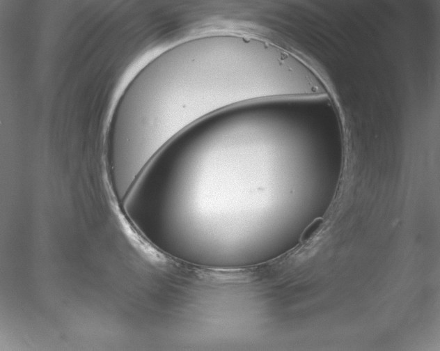 X0000078231152200611030847