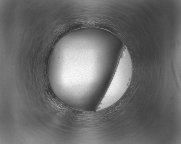 X0000078231153200611030846