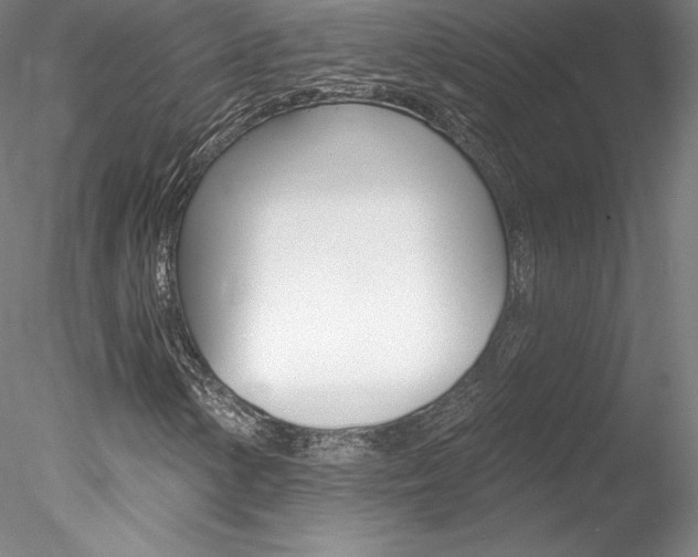 X0000078231154200611030846