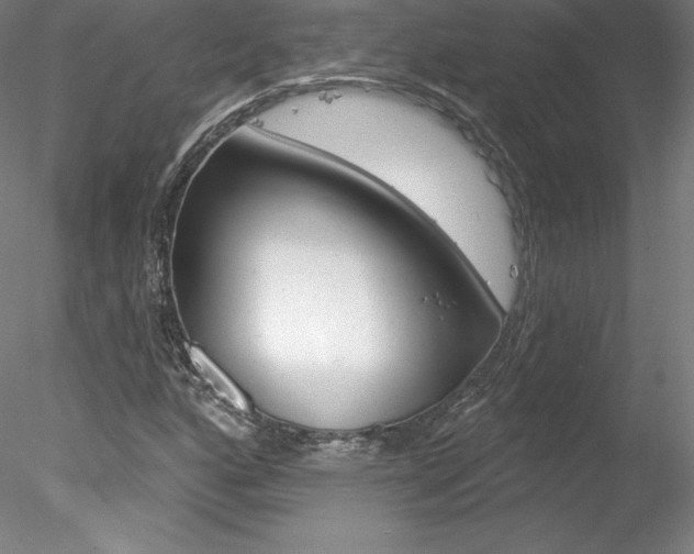 X0000078231160200611030846
