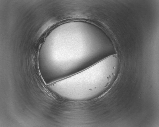 X0000078231163200611030846