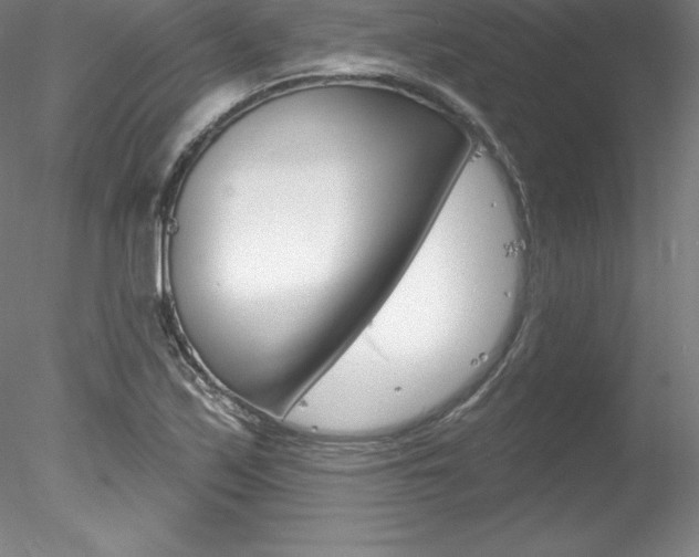 X0000078231171200611030846