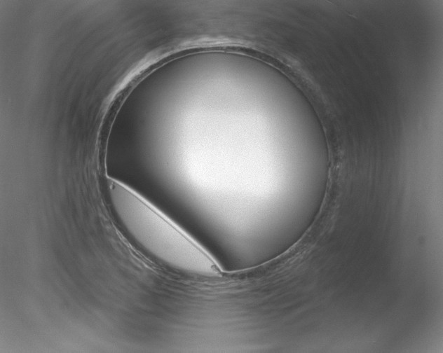 X0000078231173200611030846