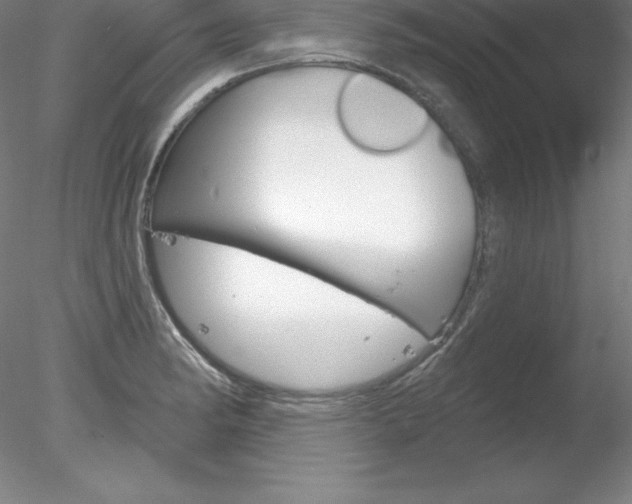 X0000078231182200611030845