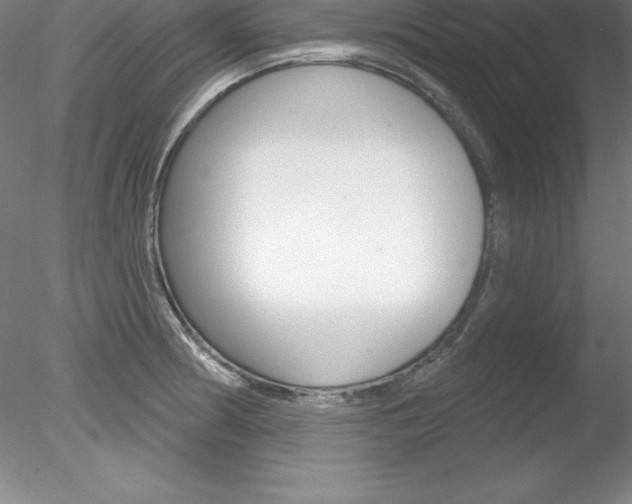 X0000078231186200611030845