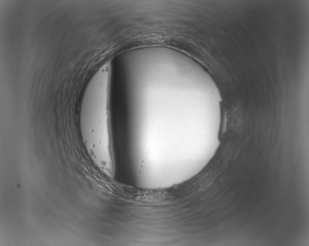 X0000078231201200611030844