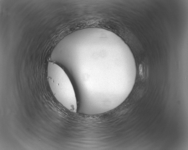 X0000078231203200611030844