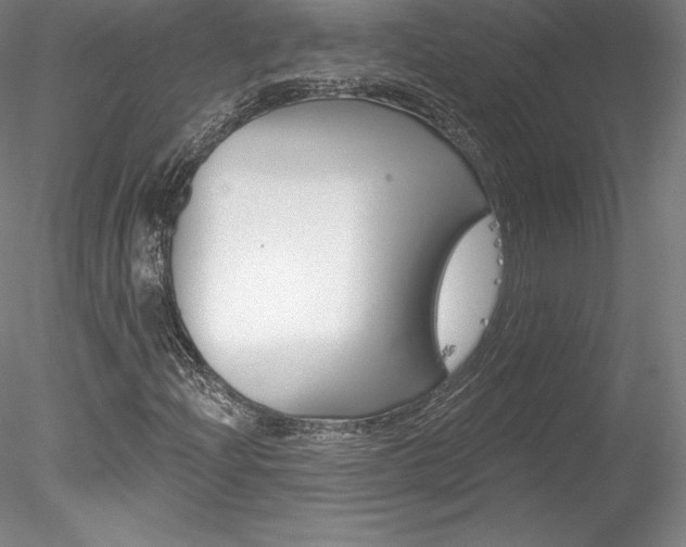 X0000078231204200611030844