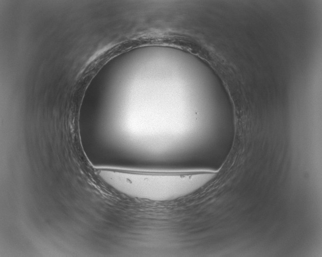 X0000078231206200611030844