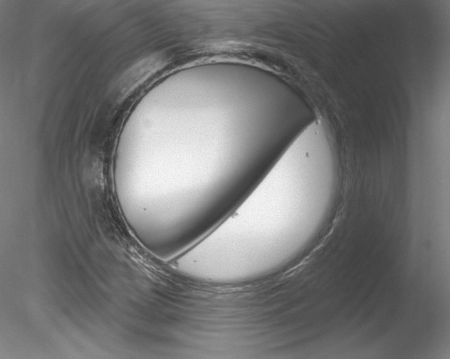 X0000078231209200611030844