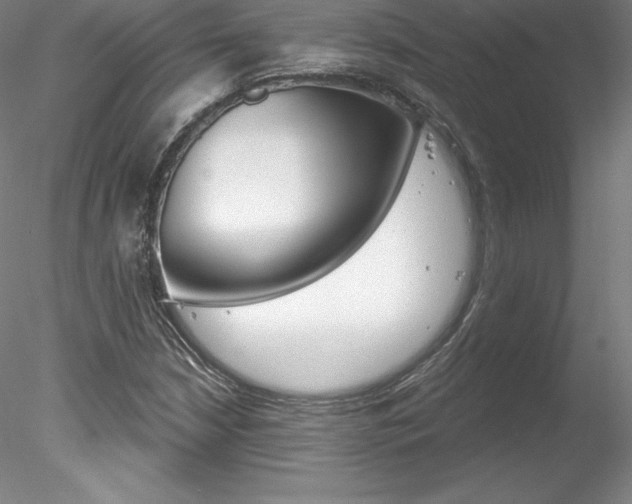 X0000078231210200611030844