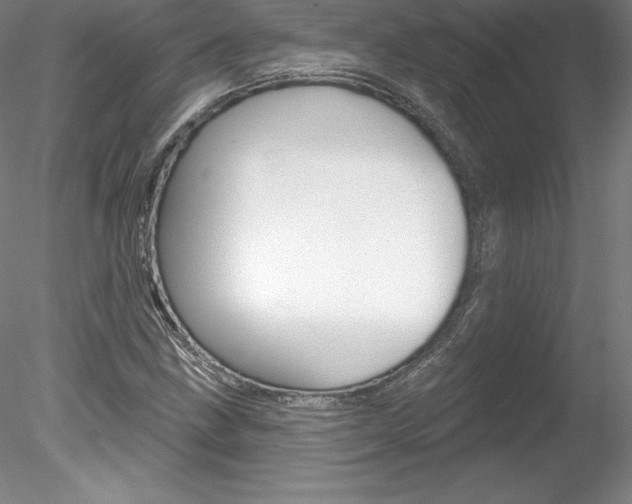 X0000078231211200611030844