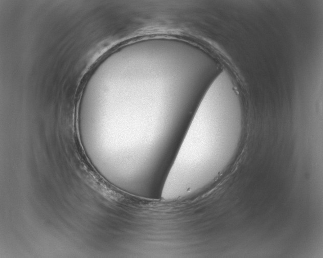 X0000078231220200611030845