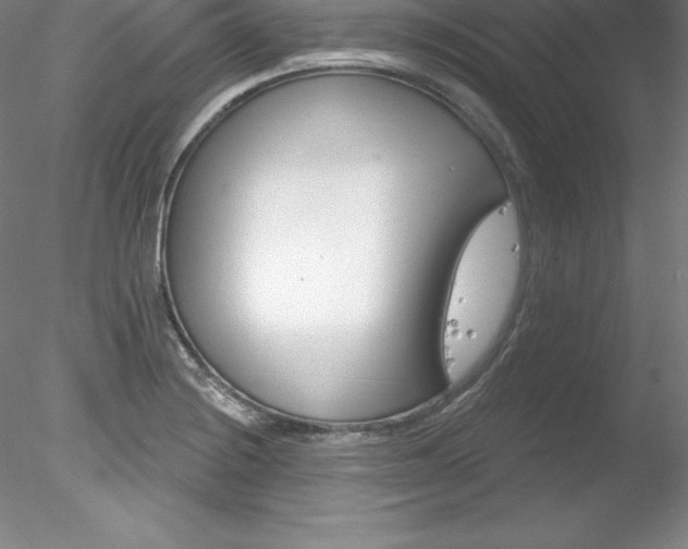 X0000078231228200611030845