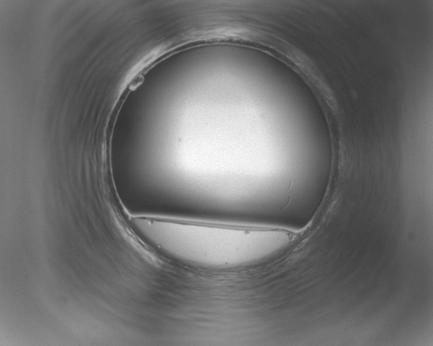 X0000078231234200611030845